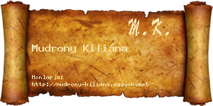 Mudrony Kiliána névjegykártya